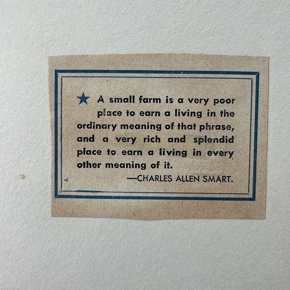 Bucolic Beatitudes by Rusticus, Illustrated by Decie Merwin, Little Brown 1927 - Picture 5 of 14